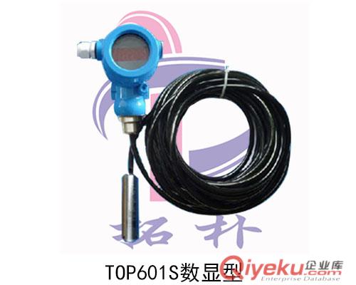 TOP601投入式液位傳感器|水位傳感器|液位變送器|原始圖片2