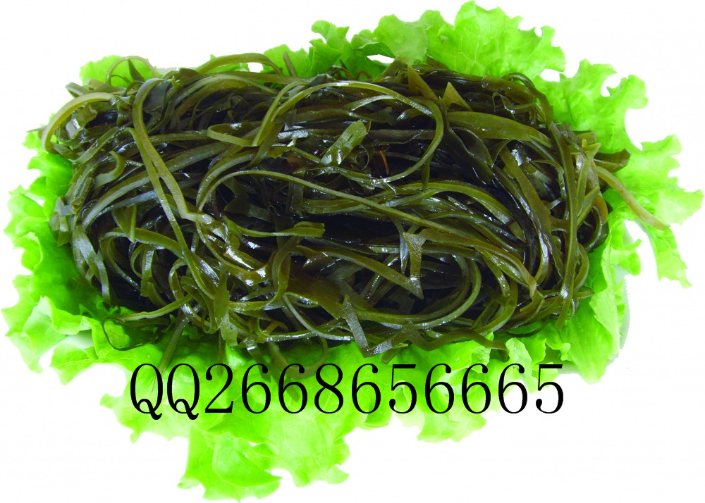 天陽廠家供應(yīng)煙葉切絲機(jī)，切絲過程流暢，快速無卡機(jī)原始圖片3