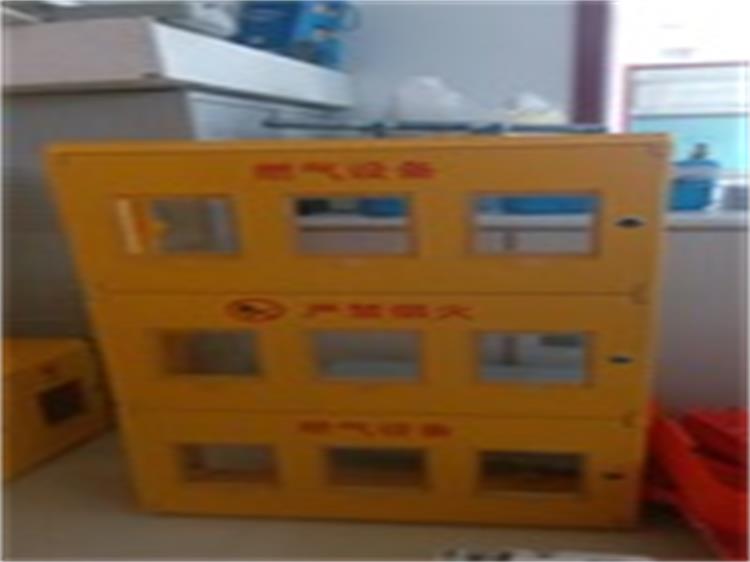 廠家直銷 模壓式燃?xì)獗硐渑l(fā) smc燃?xì)獗硐鋱髢r原始圖片2