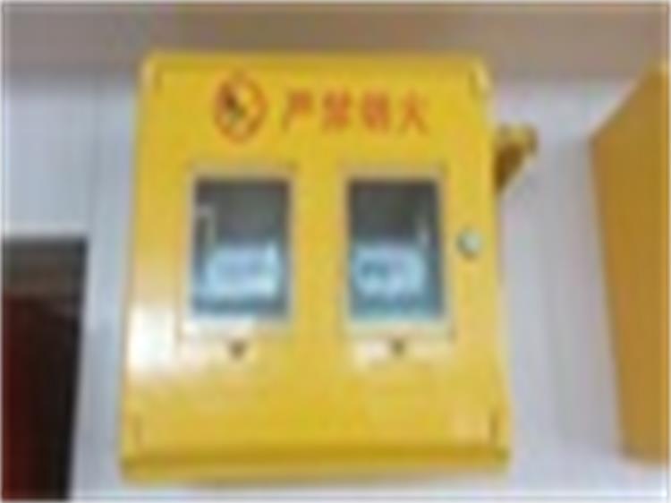 廠家供應四表位燃氣表箱介紹 戶外天然氣表箱批發原始圖片2