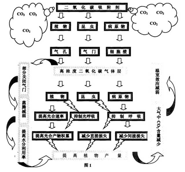 二氧化碳吸收劑廠家 圖片 說(shuō)明 昆侖生物廠家供應(yīng)