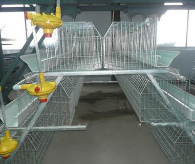珠海集蛋機(jī)價(jià)格