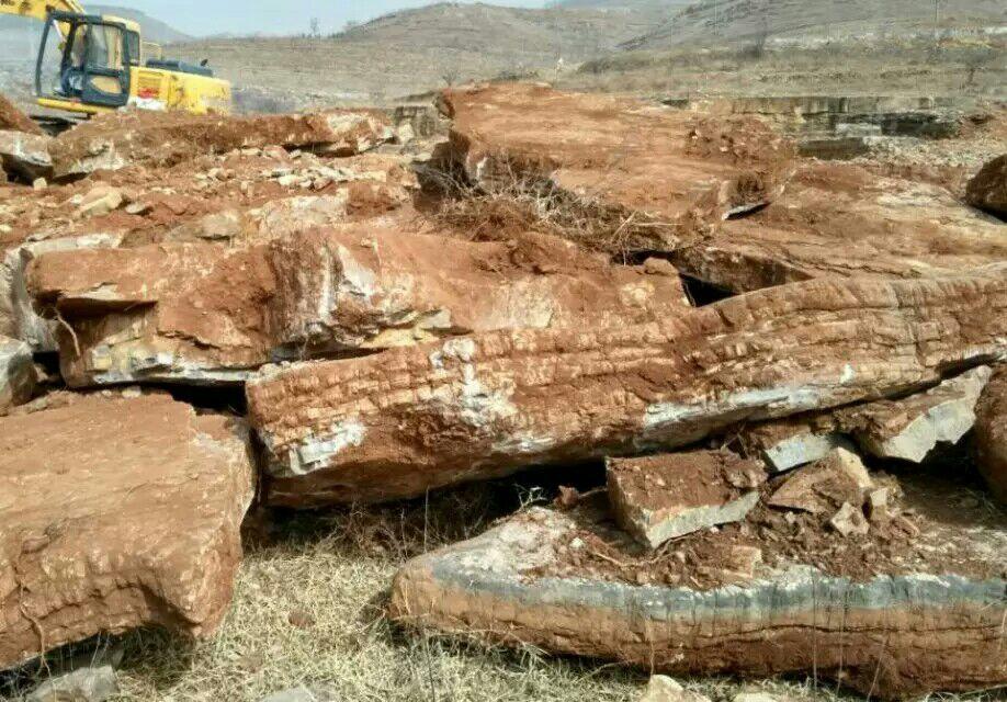 山東臨朐園林石開采基地常年供應青島龜紋石，青島千層石，青島水紋石，青島假山石。假山安裝湖岸制作