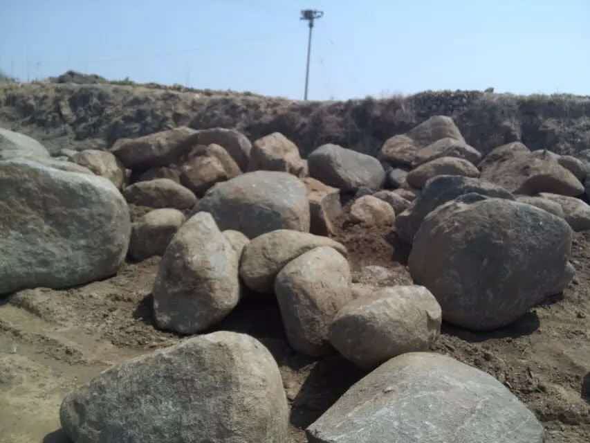 山東龜紋石，千層石，水紋石園林石直銷處