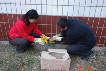 汕頭除四害，汕頭滅跳蚤，汕頭除蟲滅鼠公司