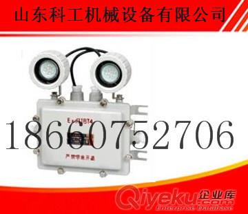 防爆應(yīng)急燈   礦用LED防爆應(yīng)急燈zp保修